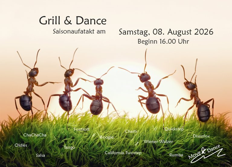 Bild zu Grill & Dance
